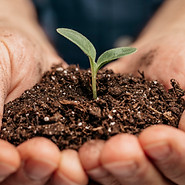 Trophée de l'Agriculture d'Avenir, deux mains tenant de la terre, de laquelle sors une pousse